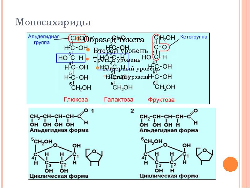 Липиды состоят из моносахаридов. Альдегидная форма Глюкозы. Полуацетальная форма Глюкозы. Липиды и моносахариды свойства и функции. Сравнение углеводов и липидов.